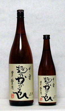 �z�T������Ё@����i���ʏ��Ď��j